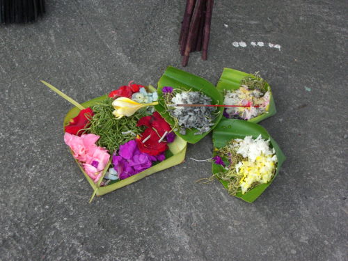 CIMG3295_SP0000.jpg
