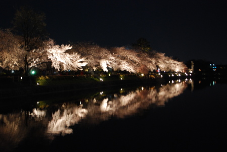 DSC_0161.JPG