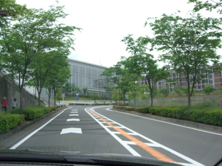 CIMG2908.JPG