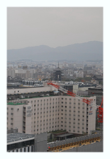 DSC_0008.jpg