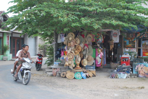 DSC_0130_SP0000.jpg