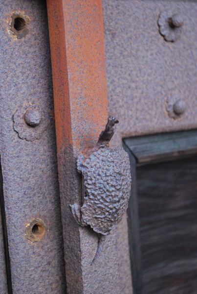 DSC_0012_サイズ変更.JPG