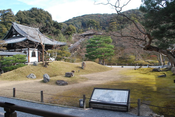 DSC_0046_サイズ変更.JPG