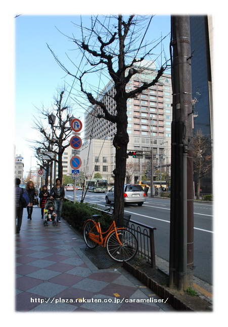 DSC_0053_サイズ変更.jpg