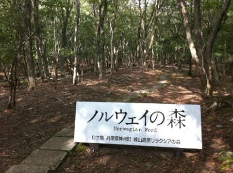 峰山高原　ノルウェーの森