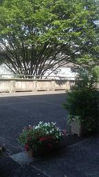 アリスガーデン