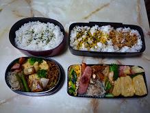 お弁当２０・４・３０