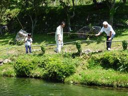 マス釣り