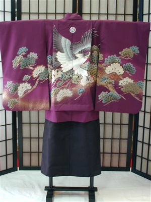 五歳紫
