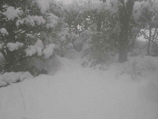 DSCN2480.JPG