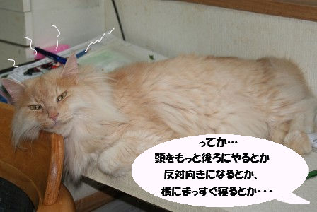 011.JPG