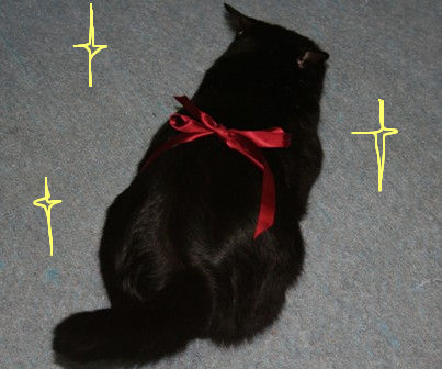 003.JPG