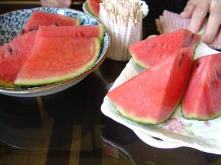 採れ立てスイカ