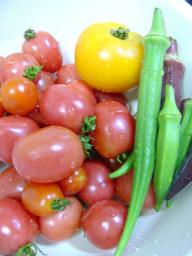無農薬野菜