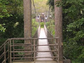 クレマチスの丘　つり橋
