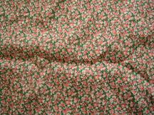 アースミュージック&エコロジー リバティ　アップ