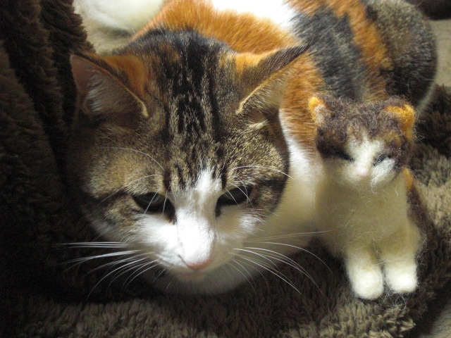 モモとコモモ