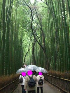 竹林.JPG