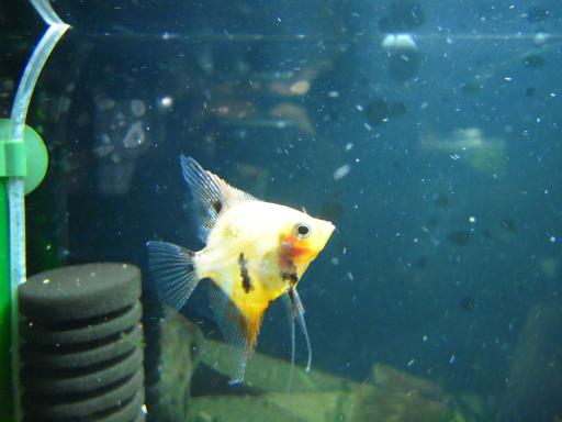 DSCN0191.JPG