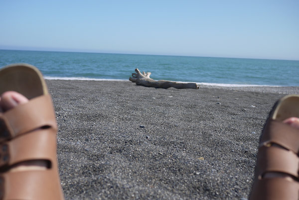 P1030243[1].jpg