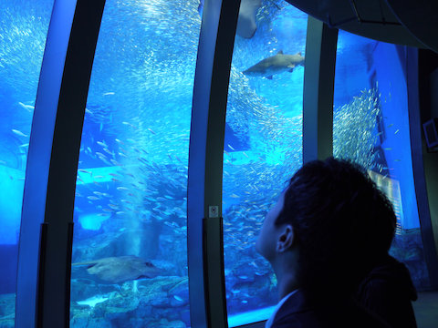 P1020214[1].jpg