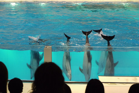 P1020382[1].jpg