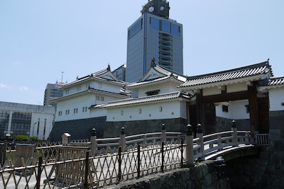 P1030252[1].jpg