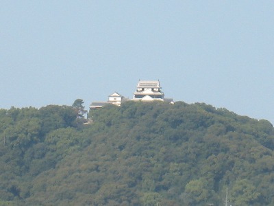 湯築城から撮影した松山城
