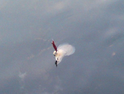 2009_0503_185032-SN3J0020.JPG