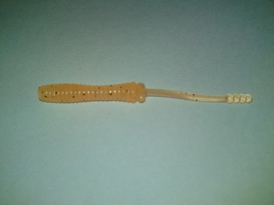 SN3J0748.jpg