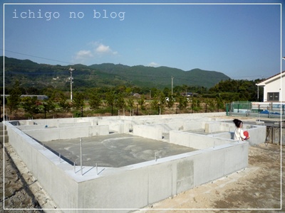 103.JPG