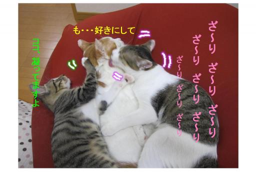 大きなお世話