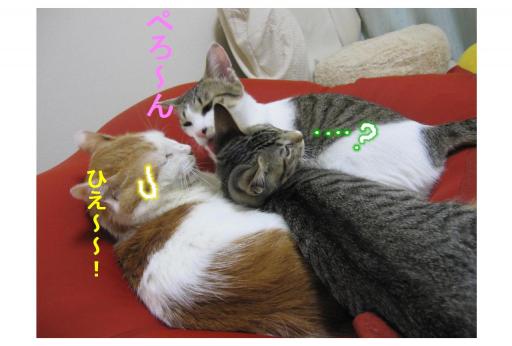 大きなお世話