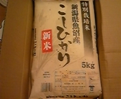 2010-11-11 00:25:20