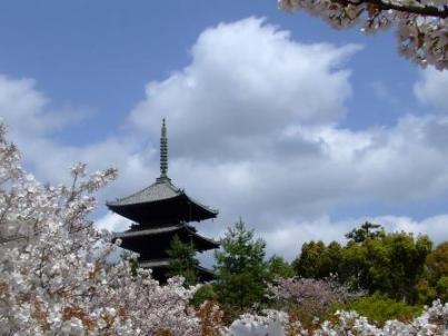 仁和寺と塔