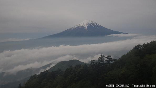 fuji