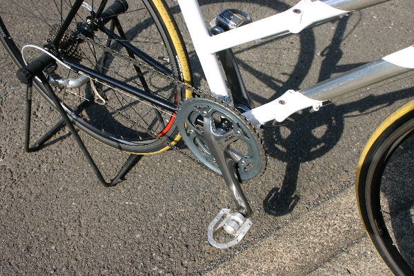 image12.jpg