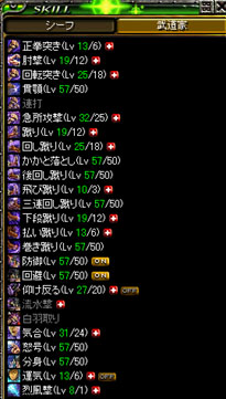 LV500武道スキル。