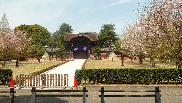 向唐門とさくら