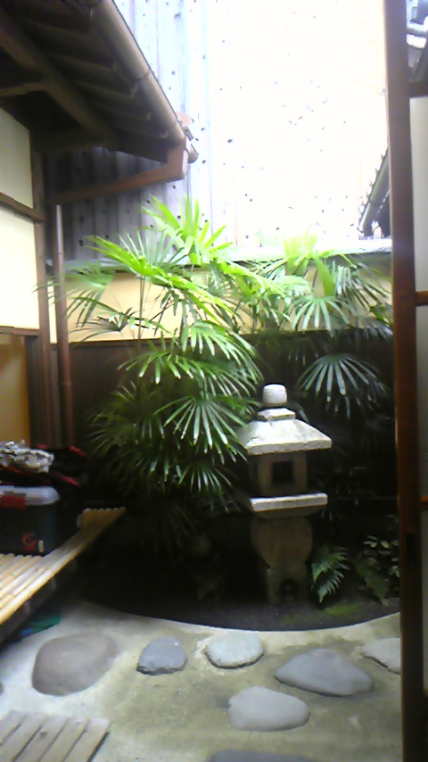 111107_090317.jpg