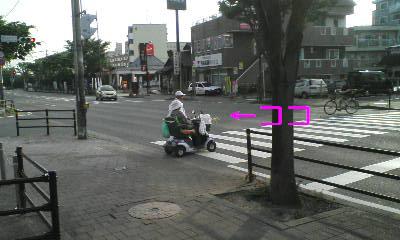 インコおじさん＆おばさん