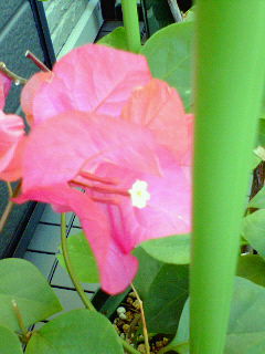 200710291502000.jpg