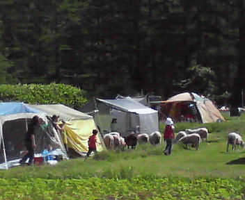 200607020854000.jpg