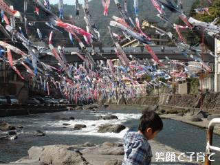 杖立の鯉のぼり