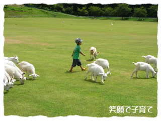 阿蘇月廻り公園