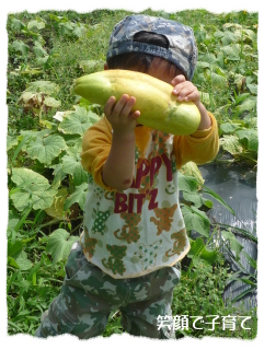 阿蘇野菜収穫