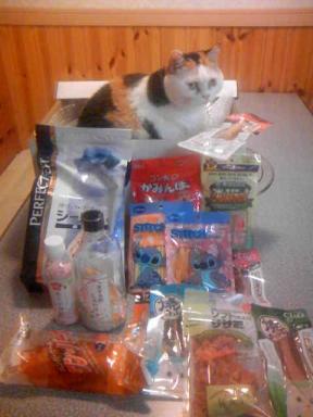 三毛猫ぽめ店長と　玉手箱の中身