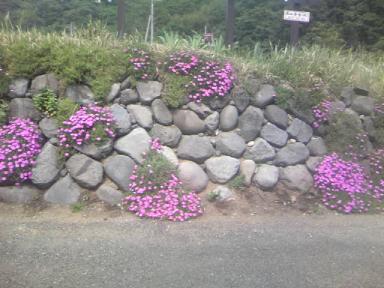 石垣