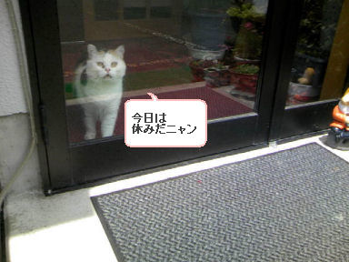 三毛猫ぽめ店長