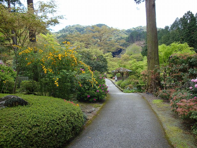 三室戸寺03